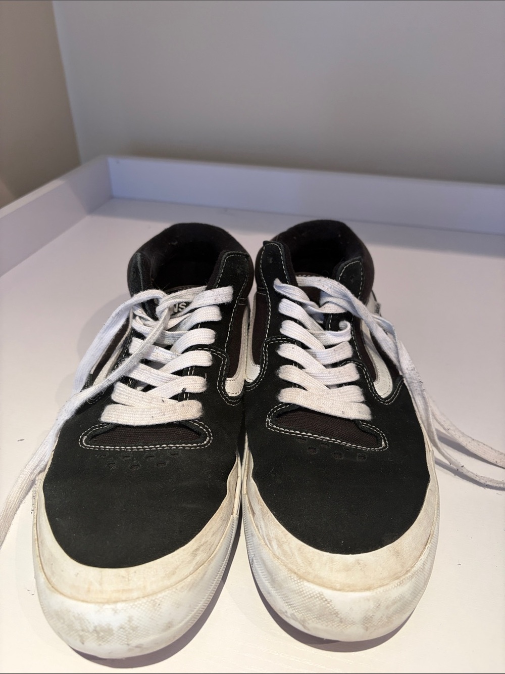 Vans Black and White Low-Top Skate Sneakers